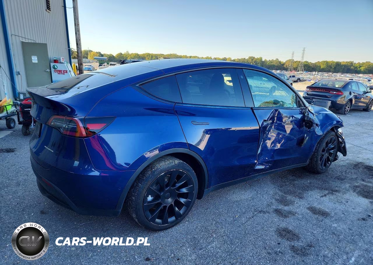 2022 Tesla Model Y VIN:7SAYGDEE7NF365510 - 3