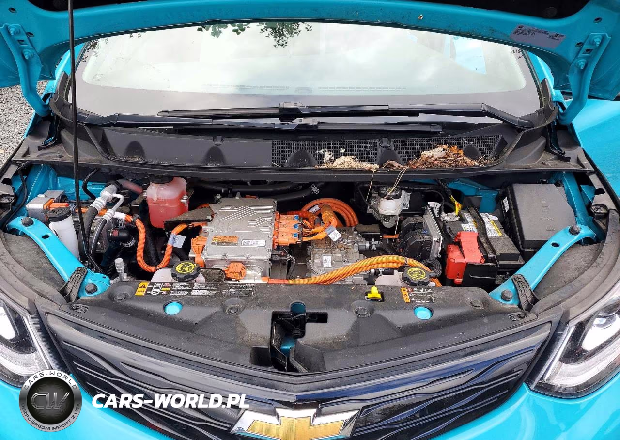 2021 Chevrolet Bolt Ev Lt VIN:1G1FY6S09M4103931 - 11
