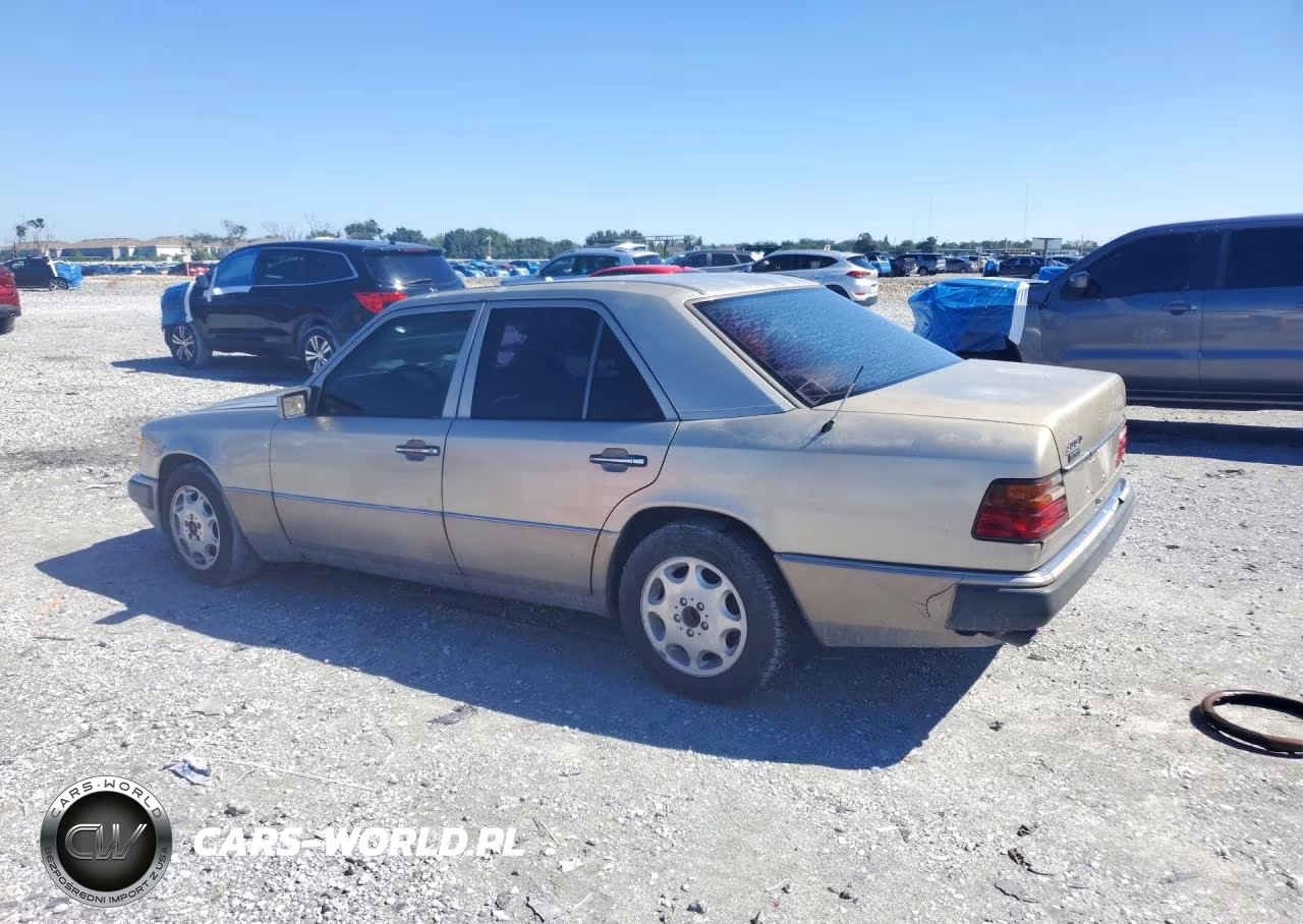 1992 Mercedes-Benz 300 D VIN:WDBEB28D8NB813907 - 2