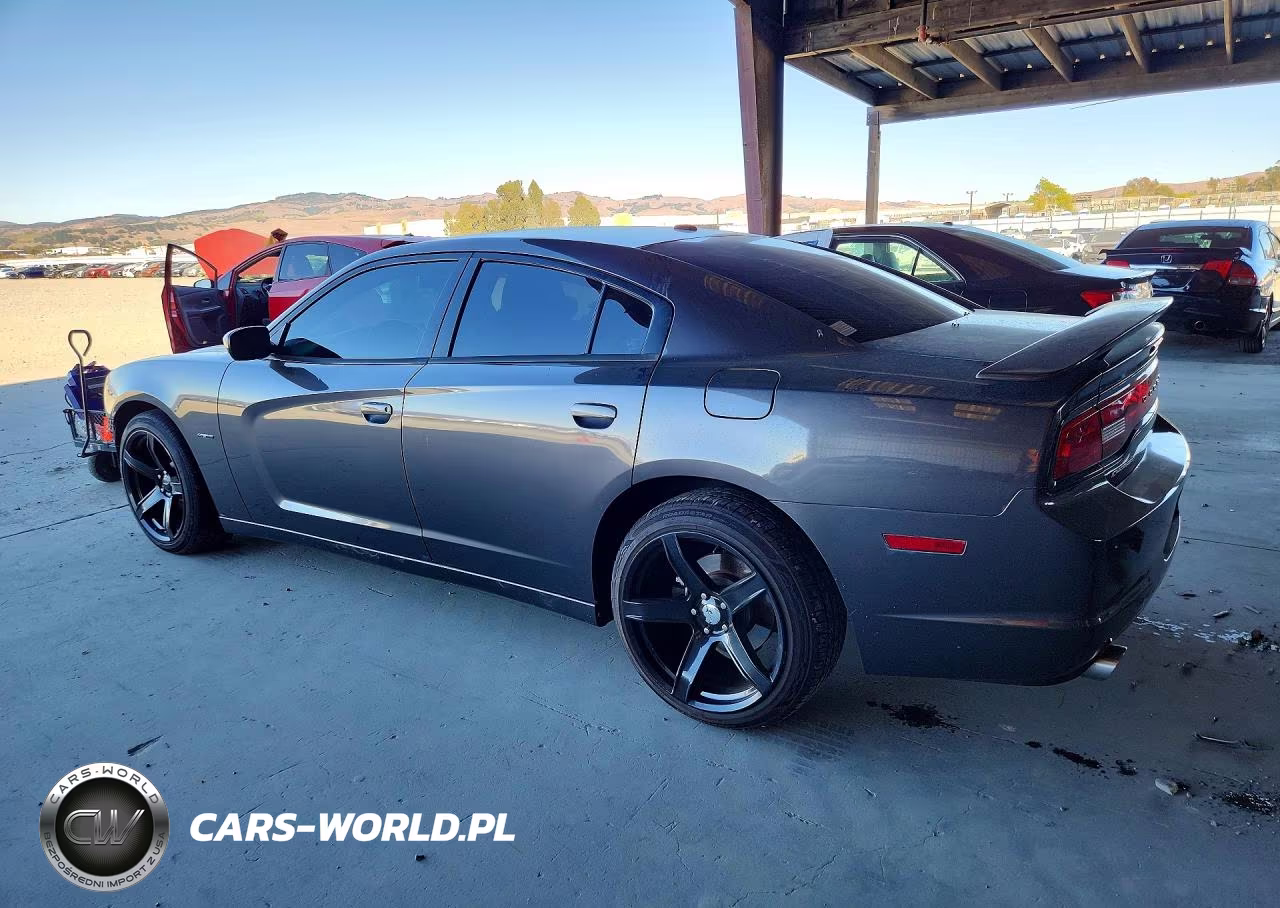 2014 Dodge Charger R-T VIN:2C3CDXCT8EH114268 - 2