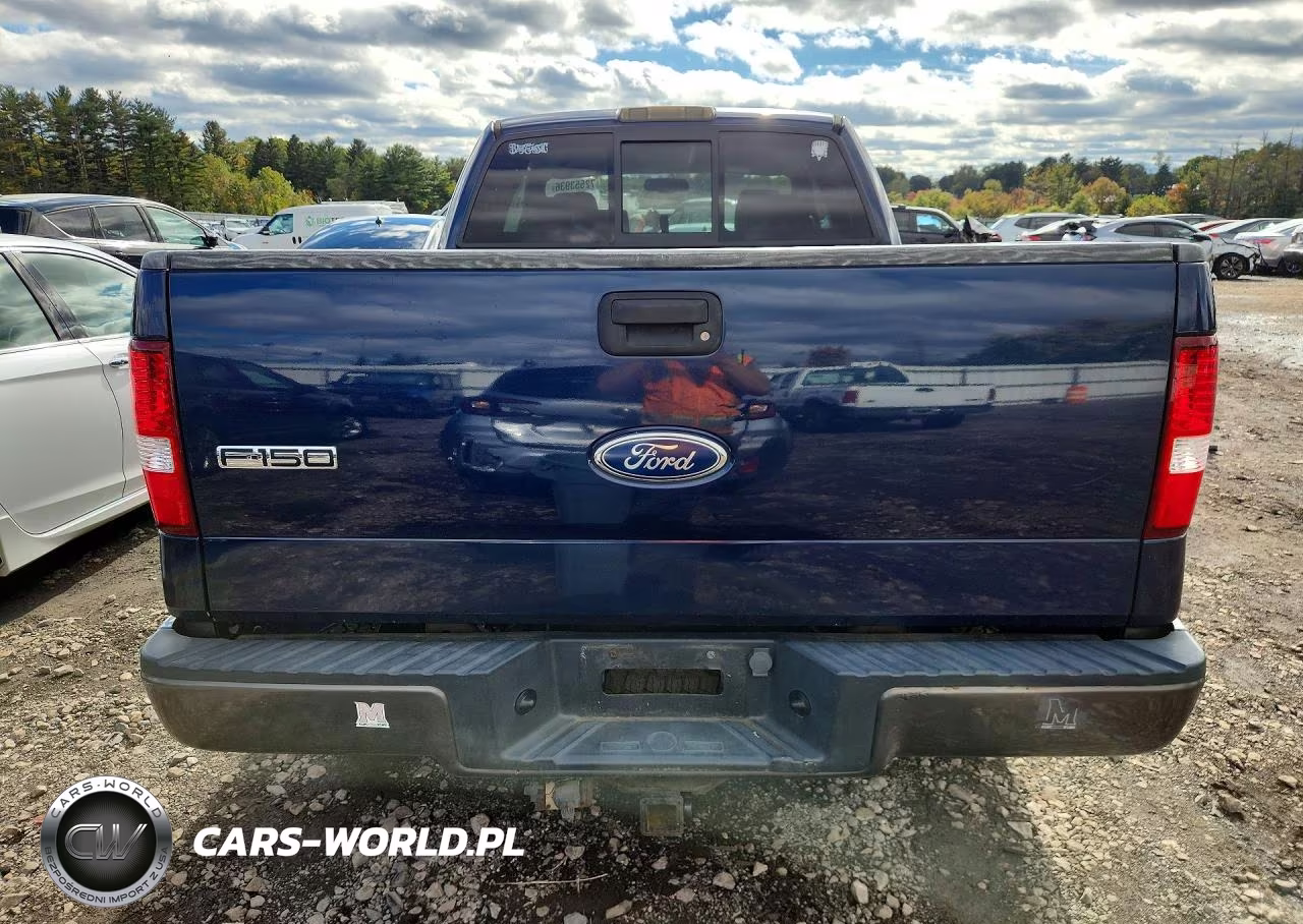 2004 Ford F150 VIN:1FTPX14534NB91637 - 6