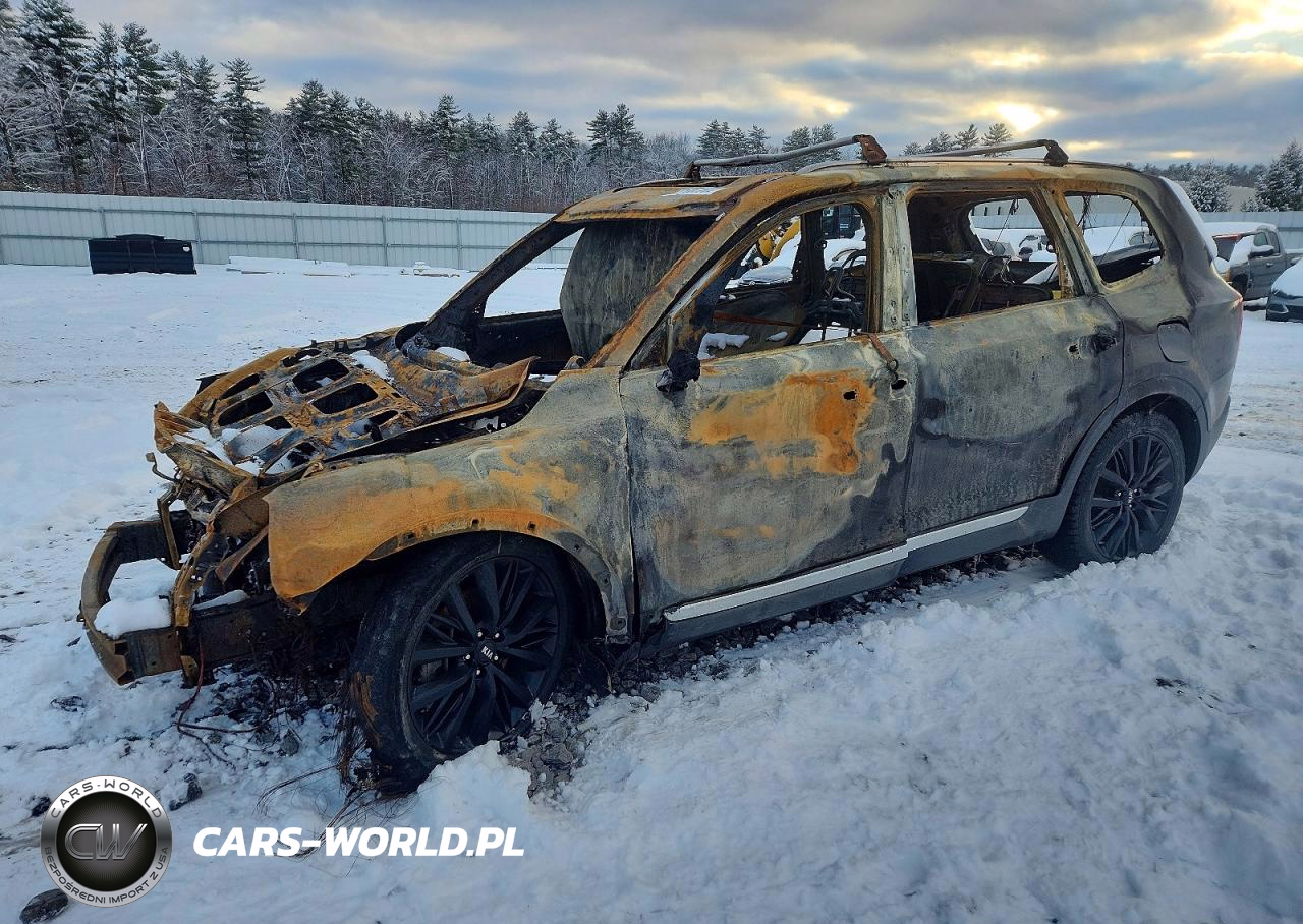 2020 Kia Telluride Sx