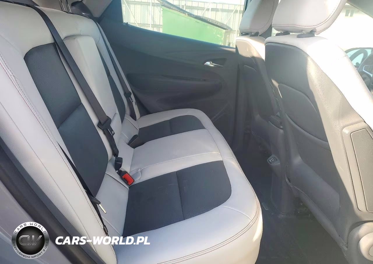 2019 Chevrolet Bolt Ev Premier VIN:1G1FZ6S06K4138310 - 10