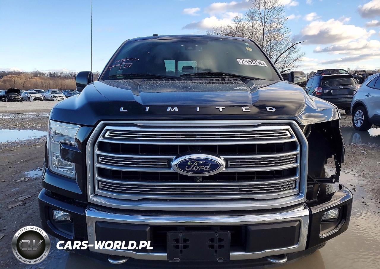 2016 Ford F150 Supercrew VIN:1FTEW1EG8GFB26369 - 5