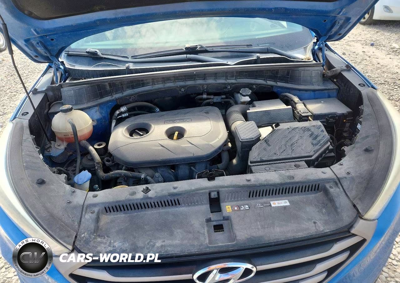2016 Hyundai Tucson Se VIN:KM8J33A44GU175719 - 12