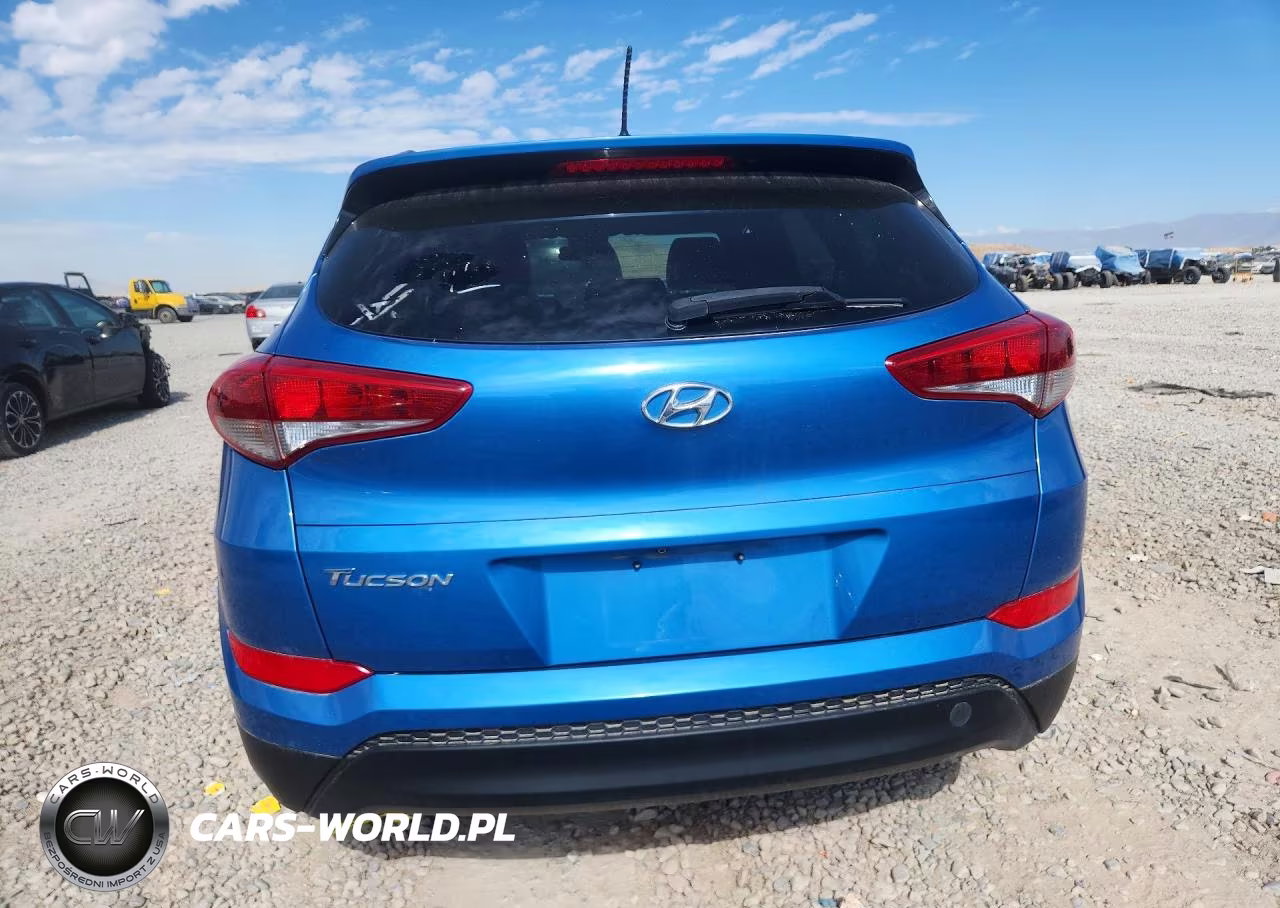 2016 Hyundai Tucson Se VIN:KM8J33A44GU175719 - 6