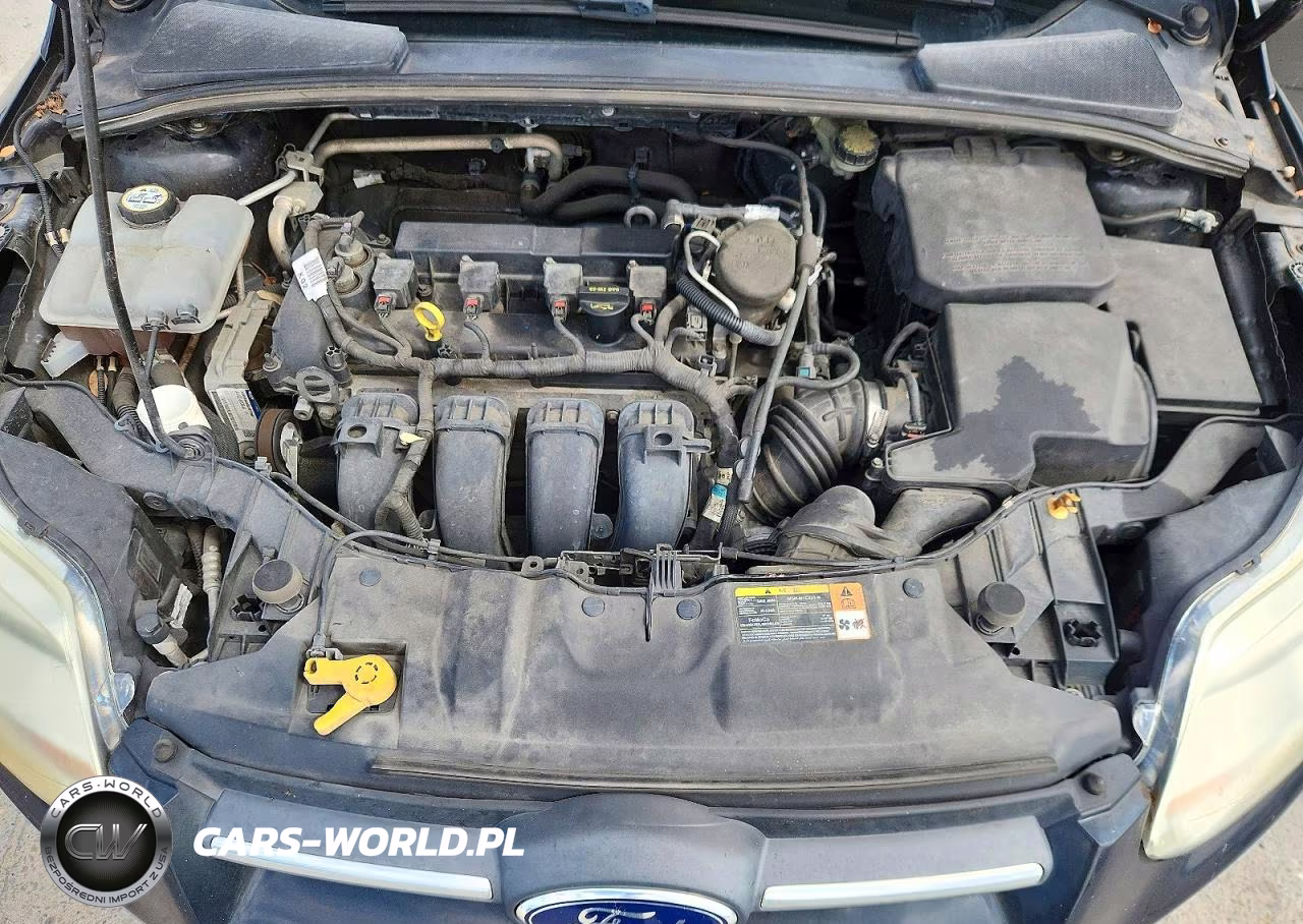 2014 Ford Focus Se VIN:1FADP3K25EL117436 - 11