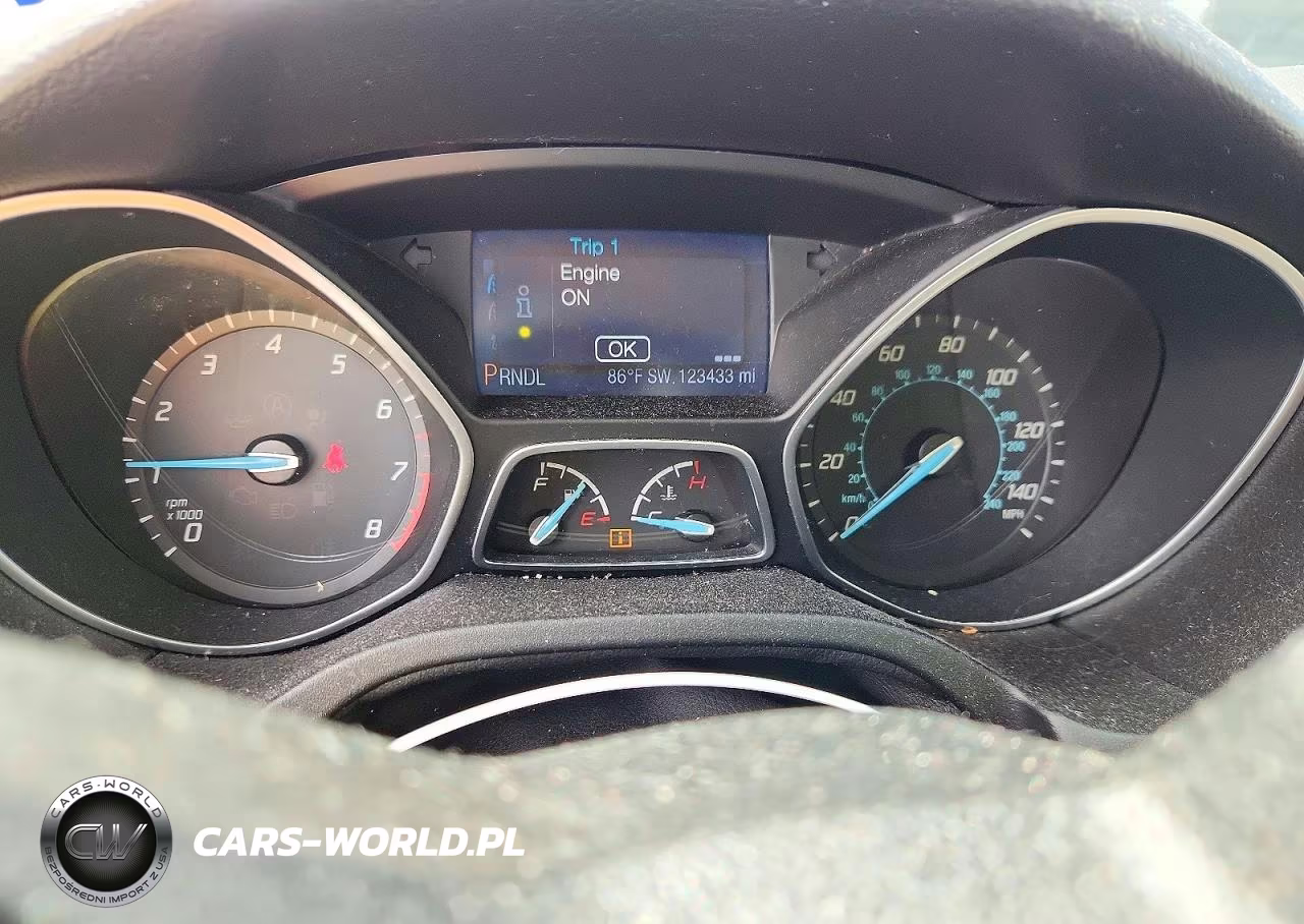2014 Ford Focus Se VIN:1FADP3K25EL117436 - 9