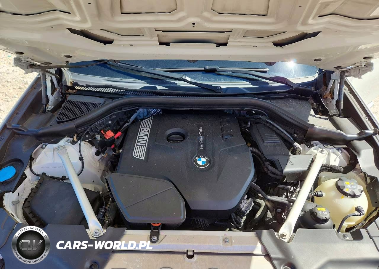 2019 BMW X3 Sdrive30I VIN:5UXTR7C53KLF33370 - 12
