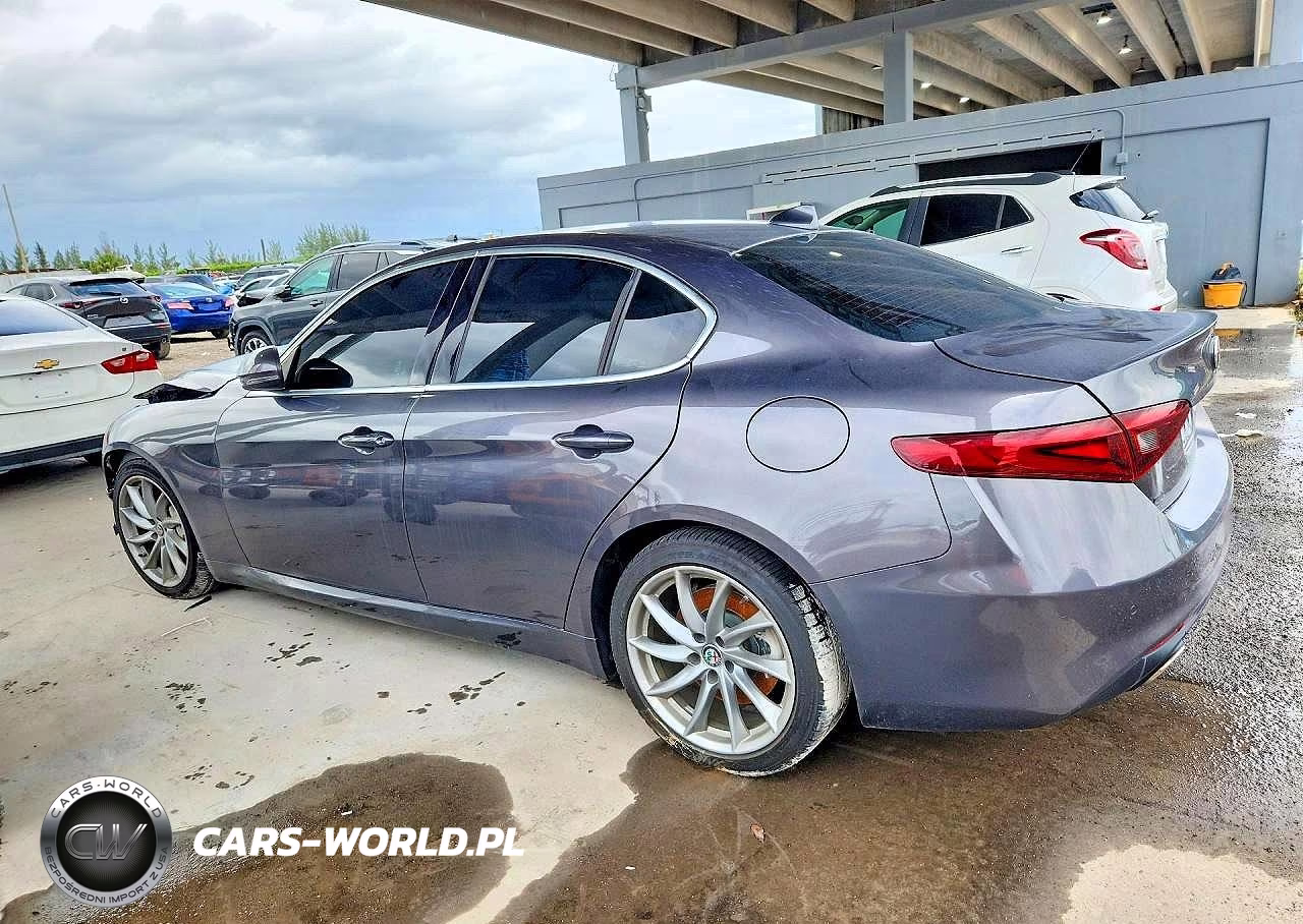 2019 Alfa Romeo Giulia VIN:ZARFAMANXK7599319 - 2