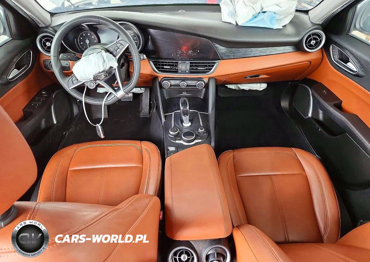 2019 Alfa Romeo Giulia VIN:ZARFAMANXK7599319 - 8
