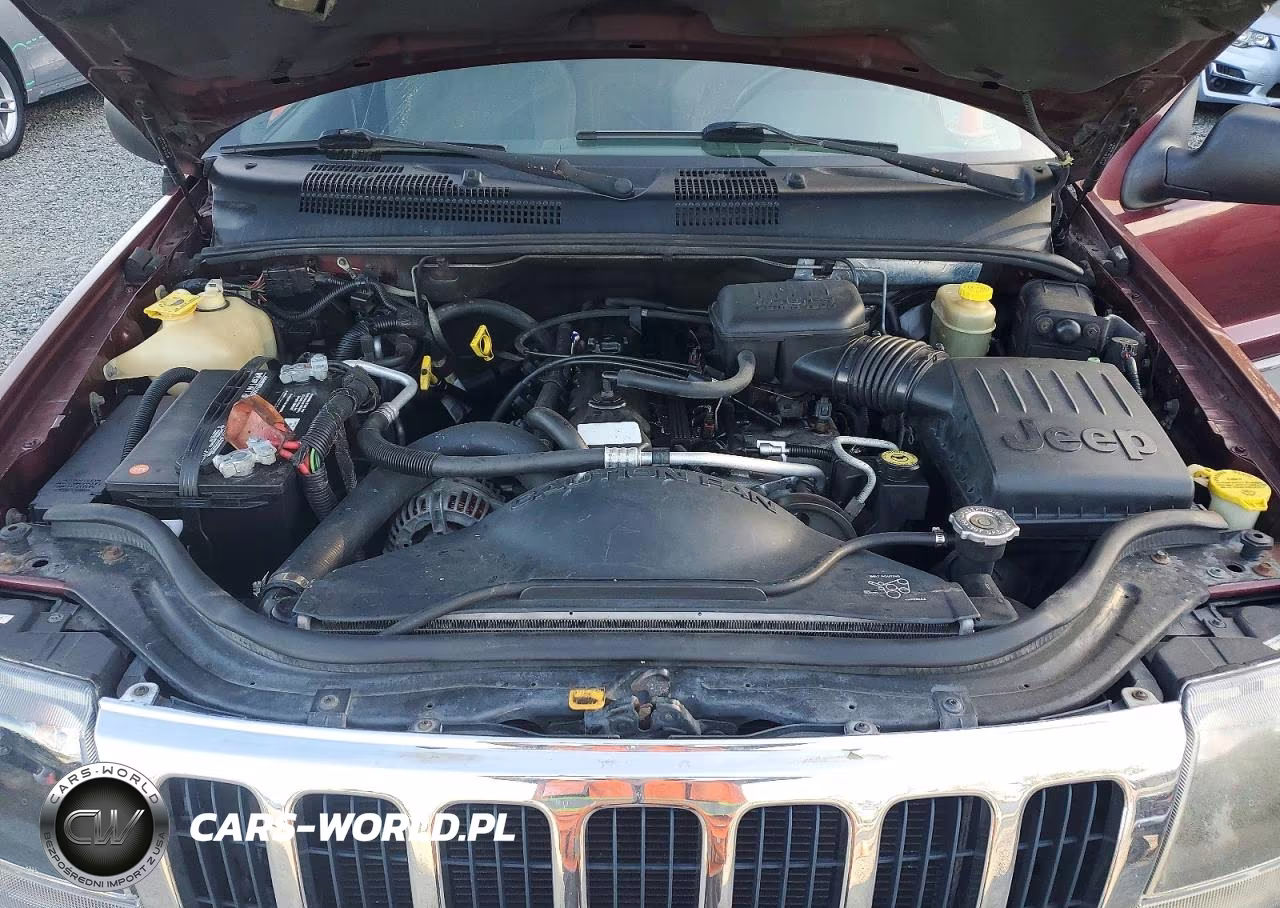 1999 Jeep Grand Cherokee Laredo VIN:1J4GW58S3XC609781 - 12