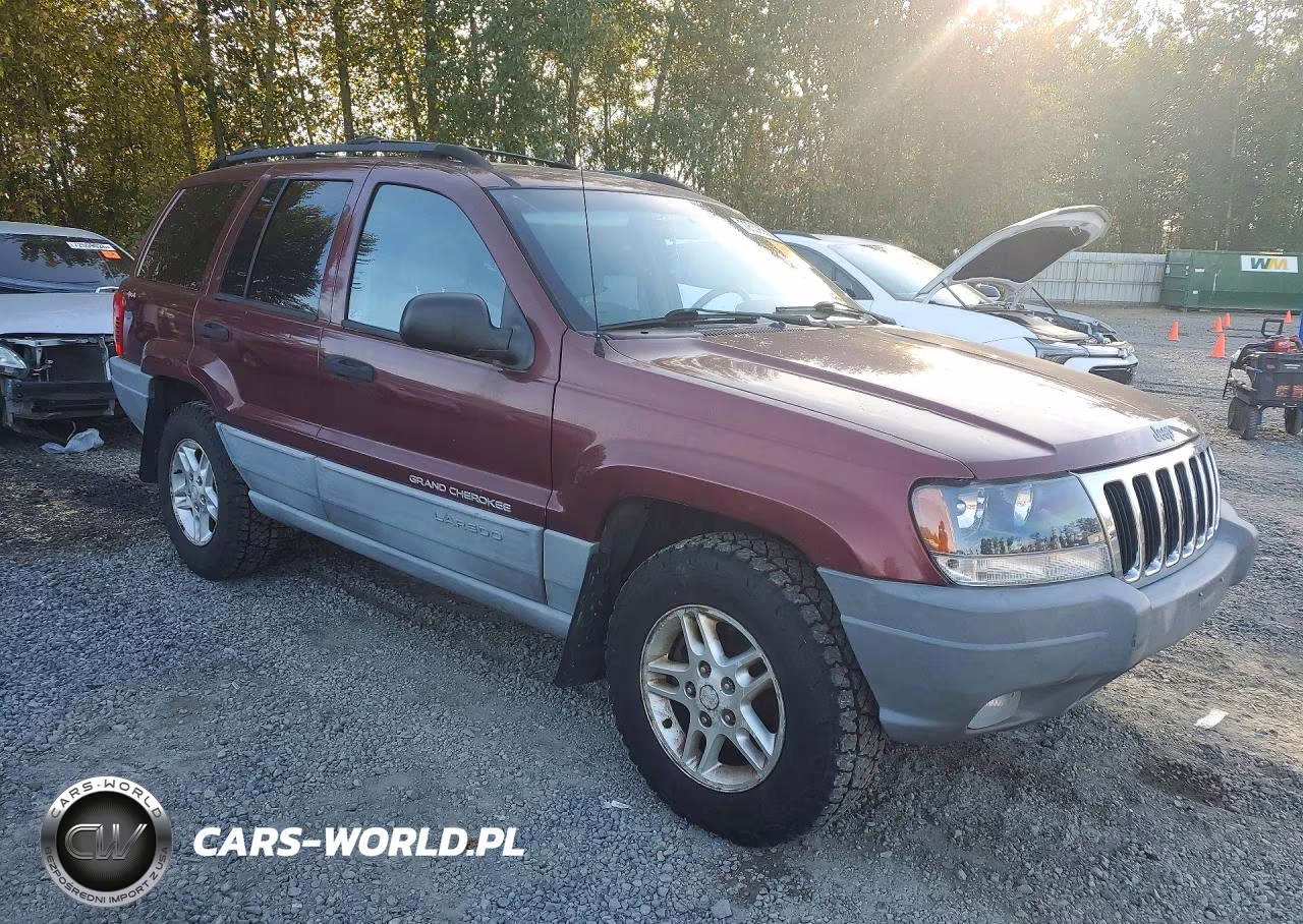 1999 Jeep Grand Cherokee Laredo VIN:1J4GW58S3XC609781 - 4