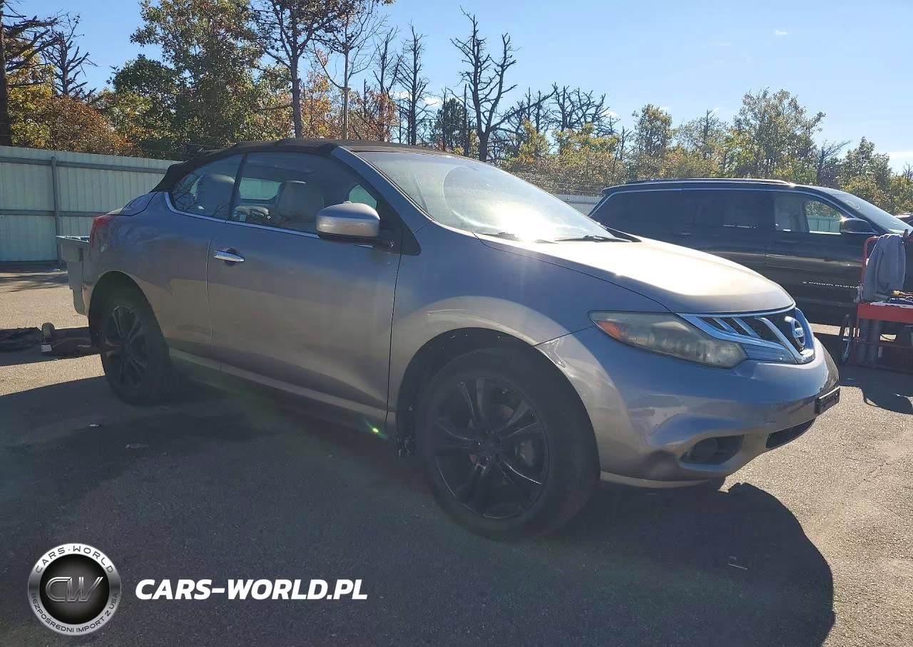 2011 Nissan Murano Crosscabriolet VIN:JN8AZ1FYXBW000833 - 4