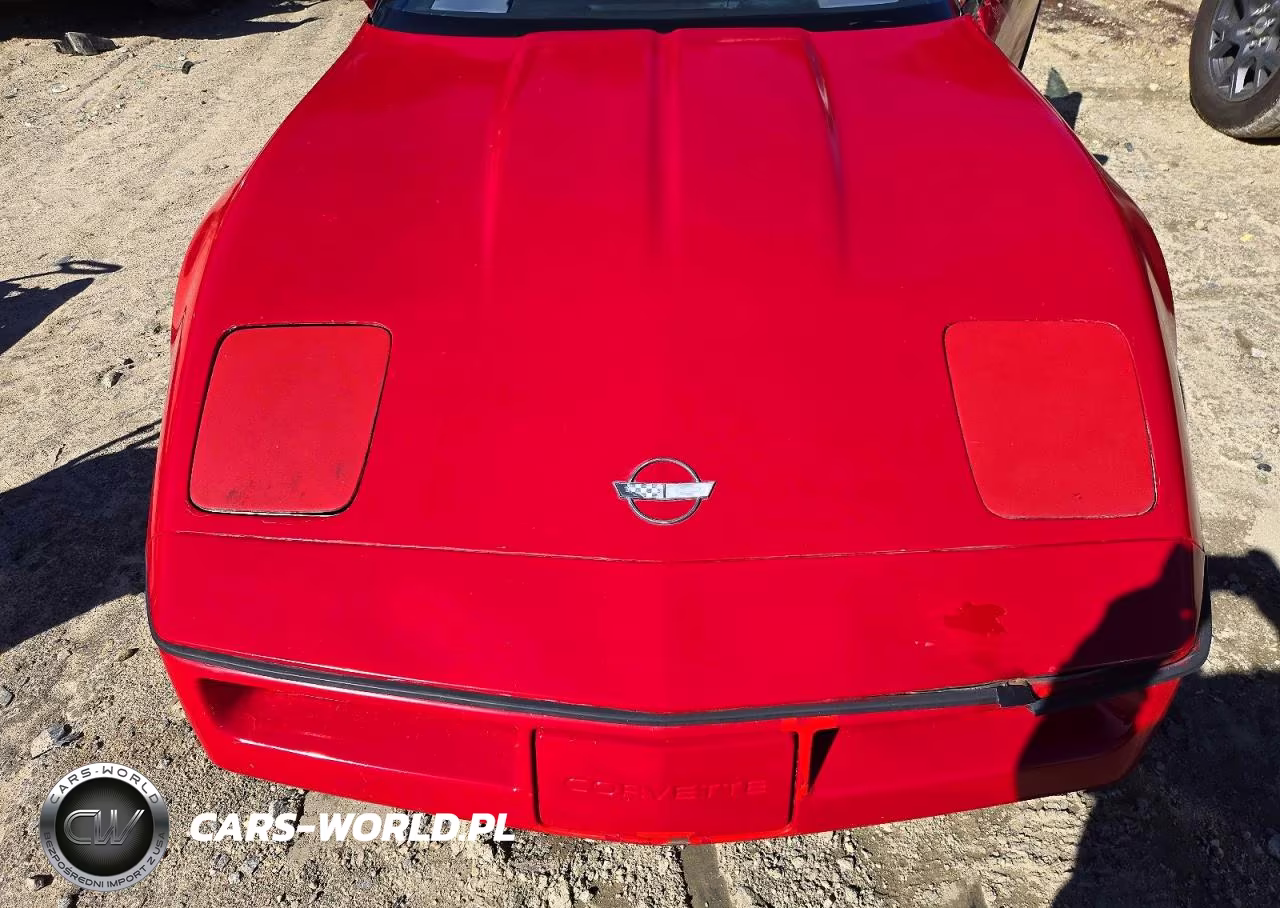 1984 Chevrolet Corvette VIN:1G1AY0788E5139417 - 11