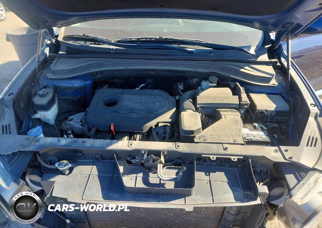2019 Hyundai Santa Fe Sel Plus 2.4L VIN:5NMS33AD6KH021425 - 12