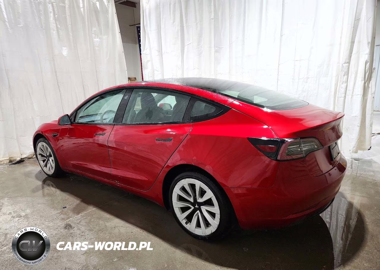 2023 Tesla Model 3 VIN:5YJ3E1EA6PF436286 - 2