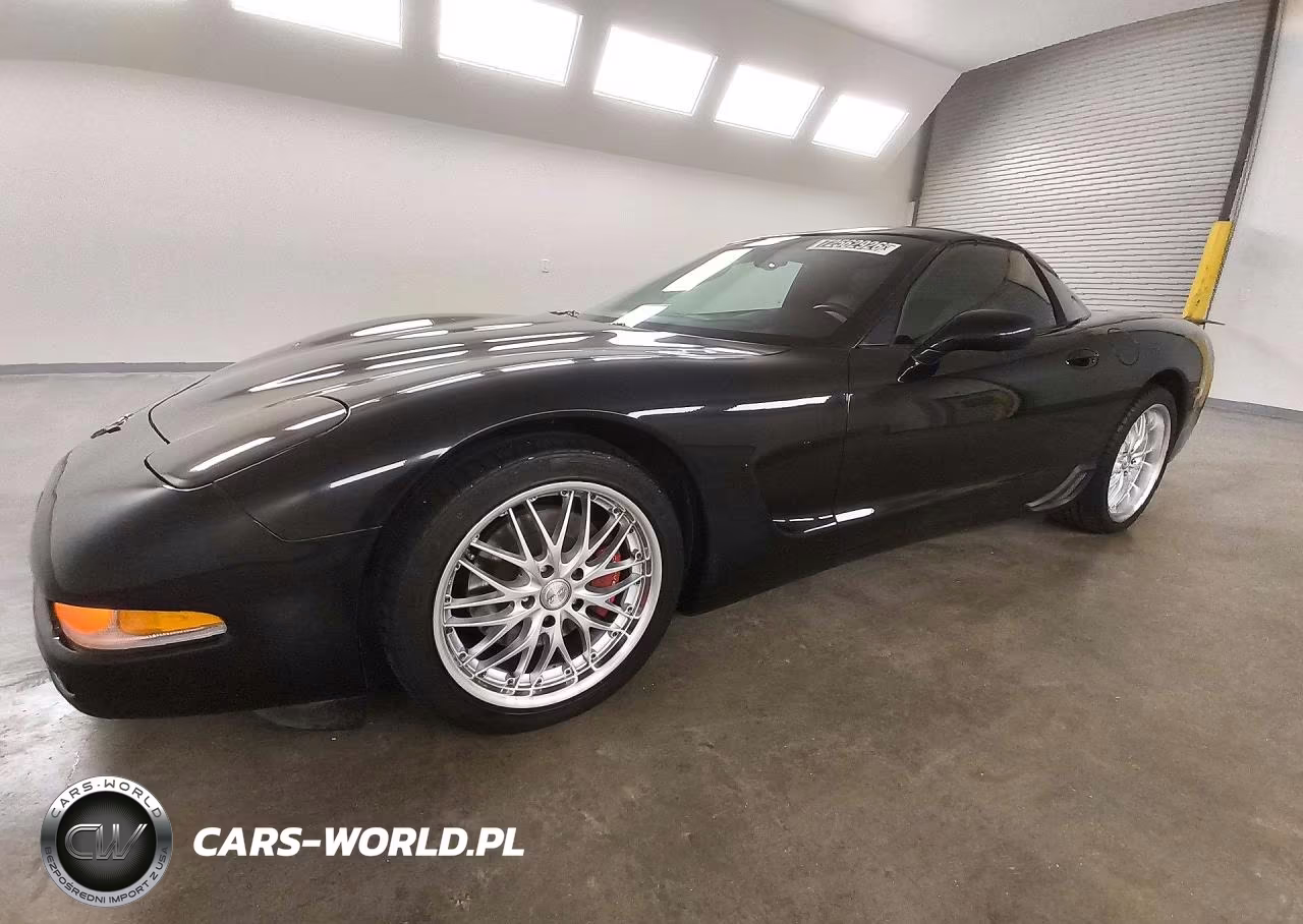 2004 Chevrolet Corvette VIN:1G1YY22GX45133576 - 1