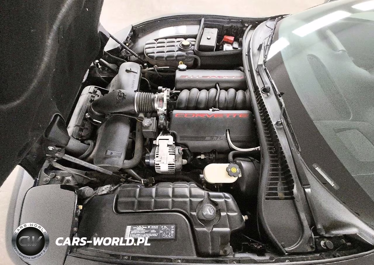 2004 Chevrolet Corvette VIN:1G1YY22GX45133576 - 11