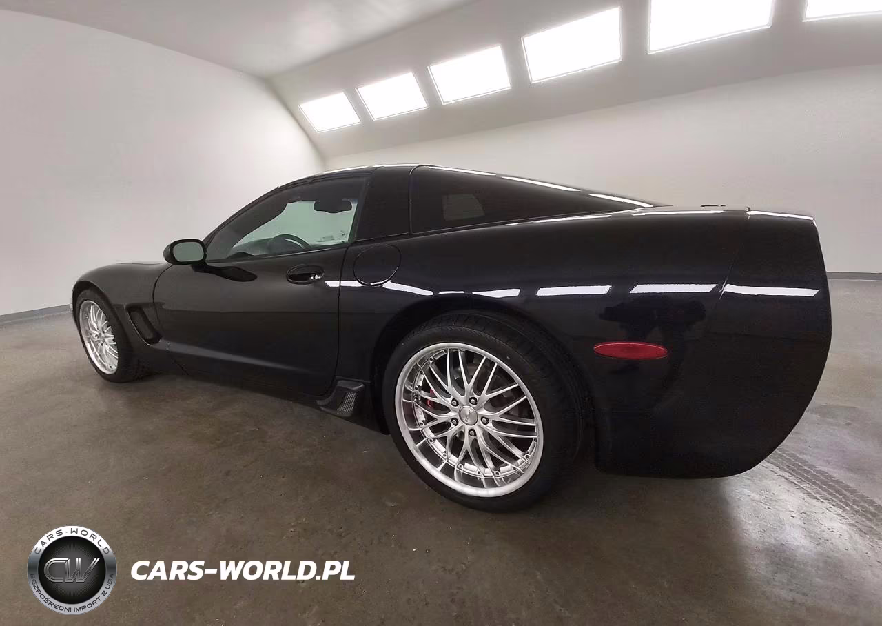 2004 Chevrolet Corvette VIN:1G1YY22GX45133576 - 2