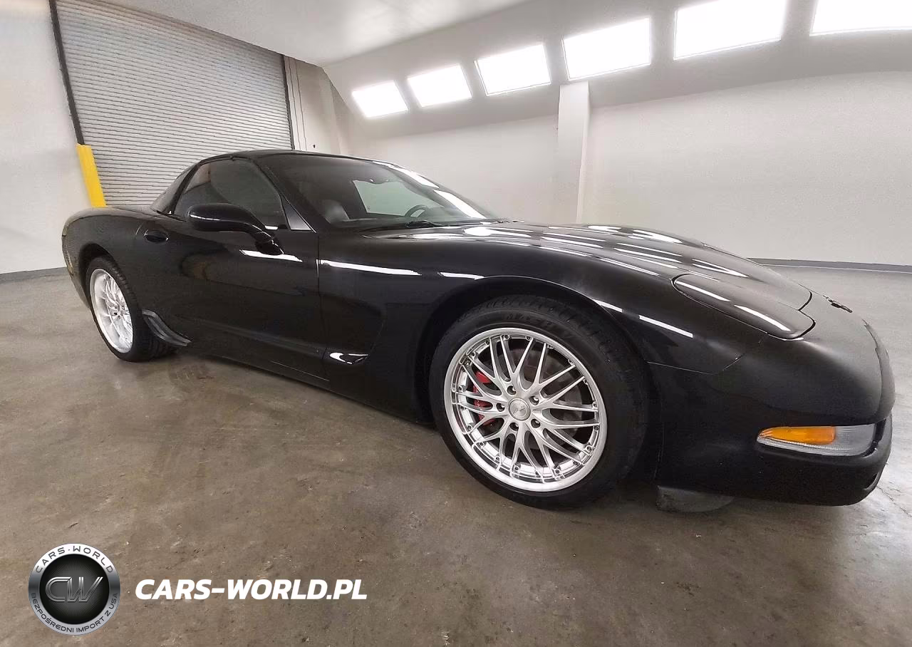 2004 Chevrolet Corvette VIN:1G1YY22GX45133576 - 4