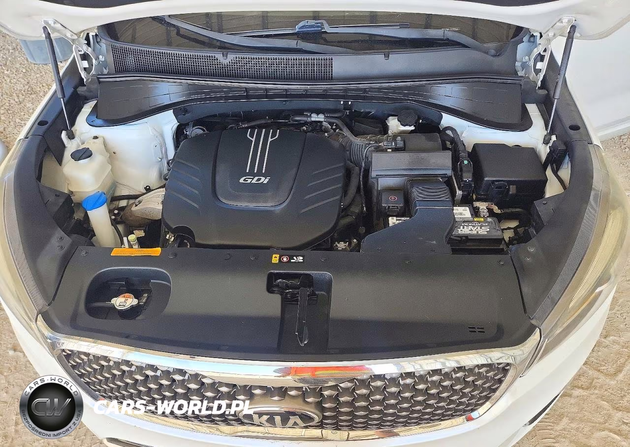 2018 Kia Sorento Sx V6 VIN:5XYPKDA56JG405897 - 12