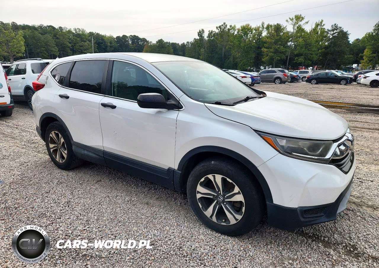 2019 Honda Cr-V Lx VIN:2HKRW5H31KH404867 - 4