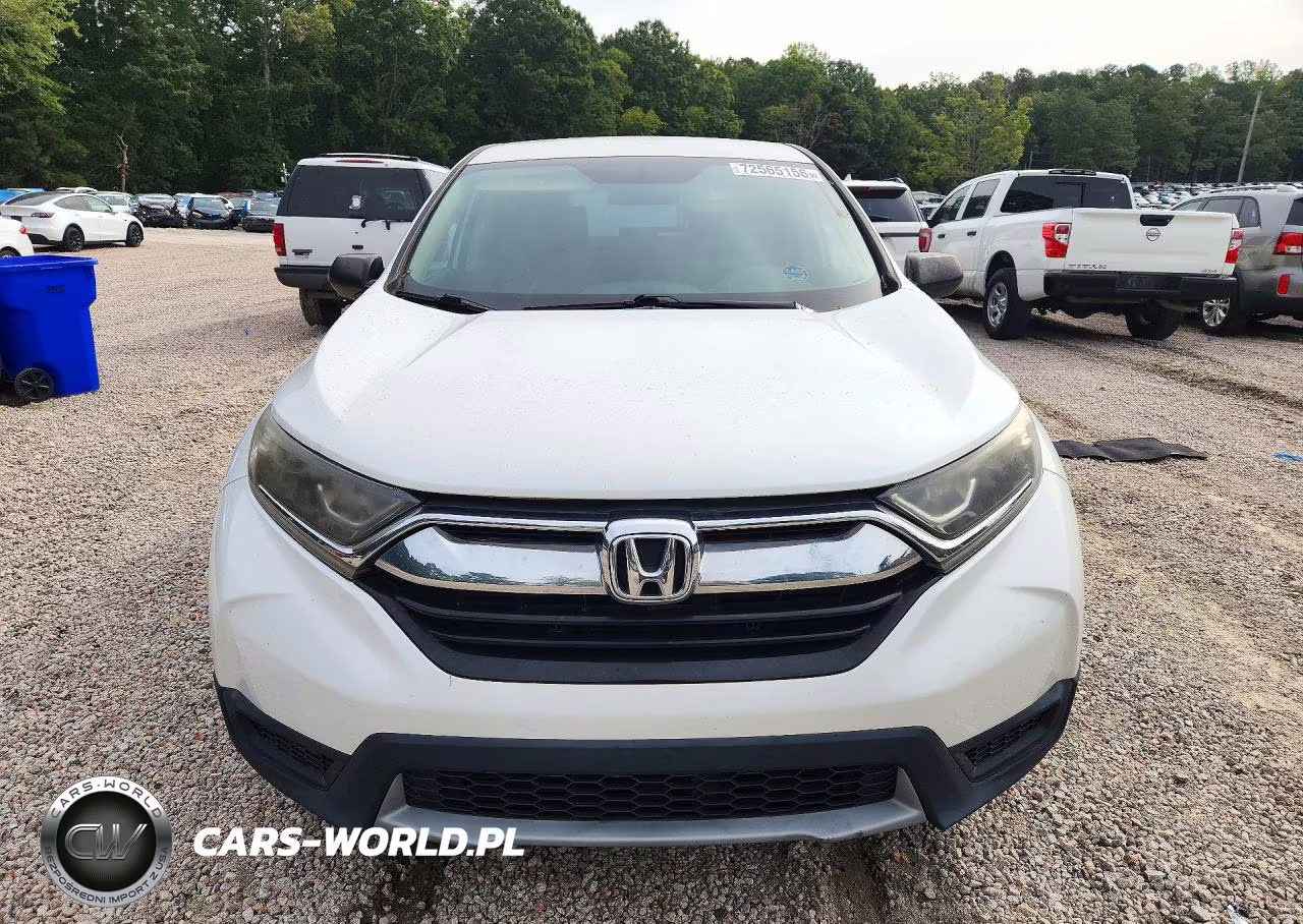 2019 Honda Cr-V Lx VIN:2HKRW5H31KH404867 - 5