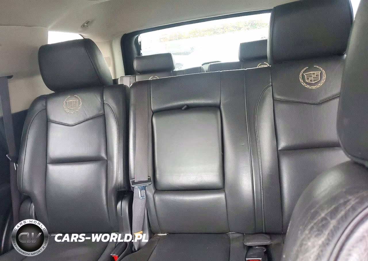 2013 Cadillac Escalade Platinum Hybrid VIN:1GYS4FEJ1DR175466 - 10