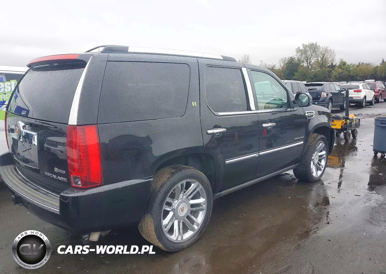 2013 Cadillac Escalade Platinum Hybrid VIN:1GYS4FEJ1DR175466 - 3