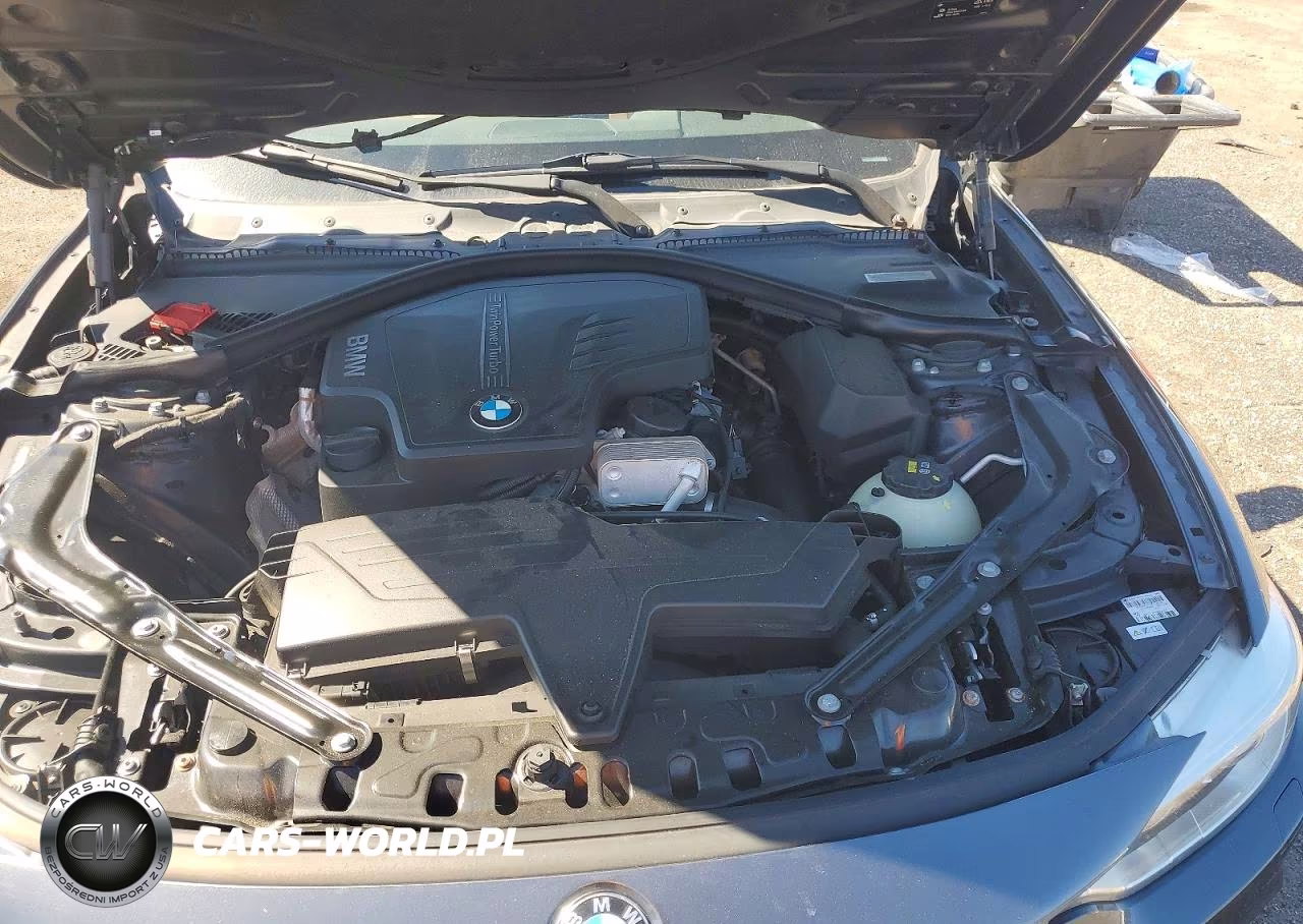 2015 BMW 428 Xi Sulev VIN:WBA3T1C59FP820642 - 11