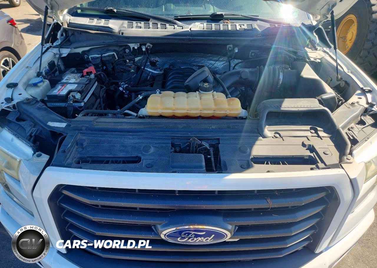 2016 Ford F150 Supercrew VIN:1FTEW1EF0GKE91353 - 11