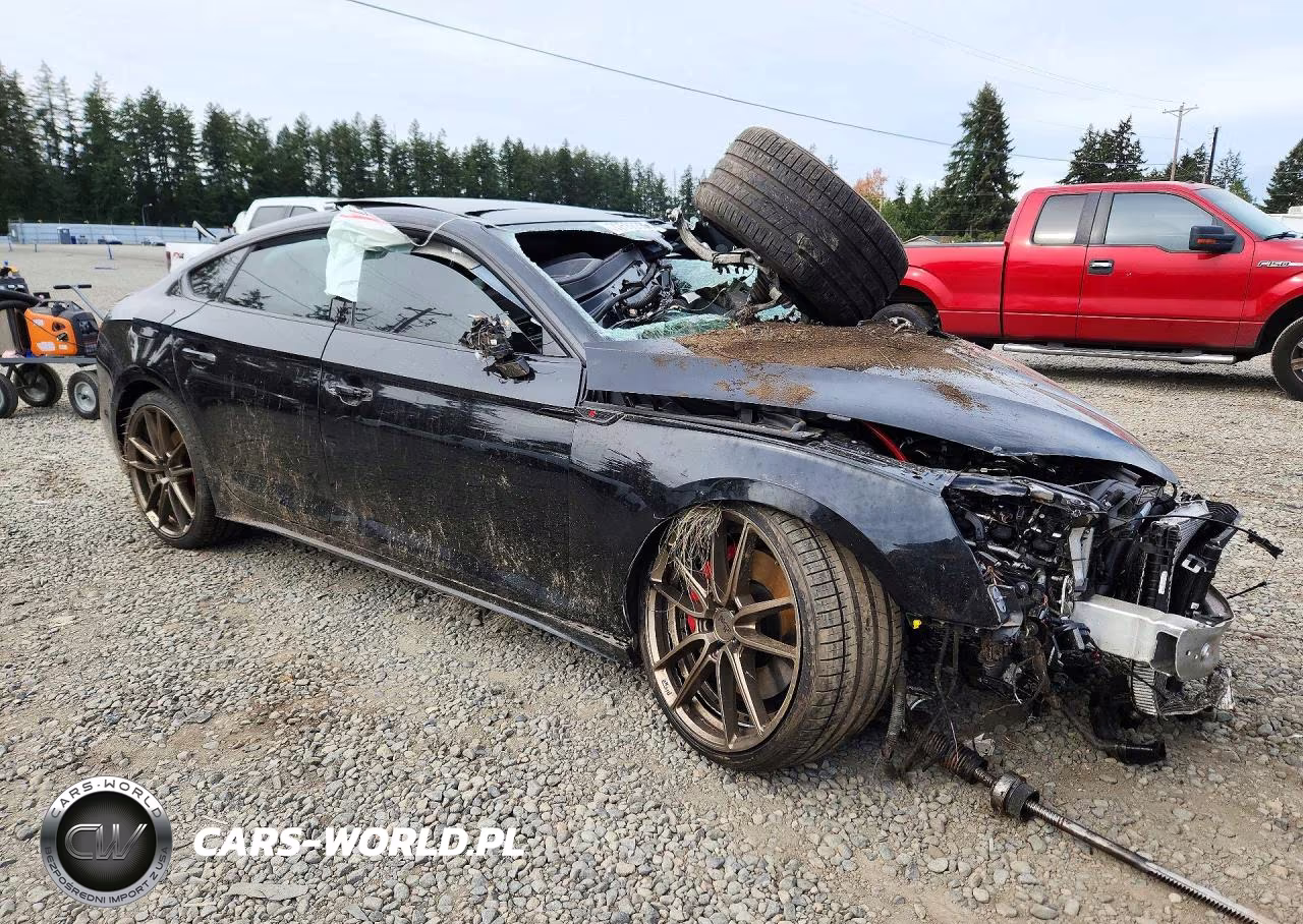 2024 Audi S5 Premium Plus VIN:WAUC4CF59RA058120 - 4