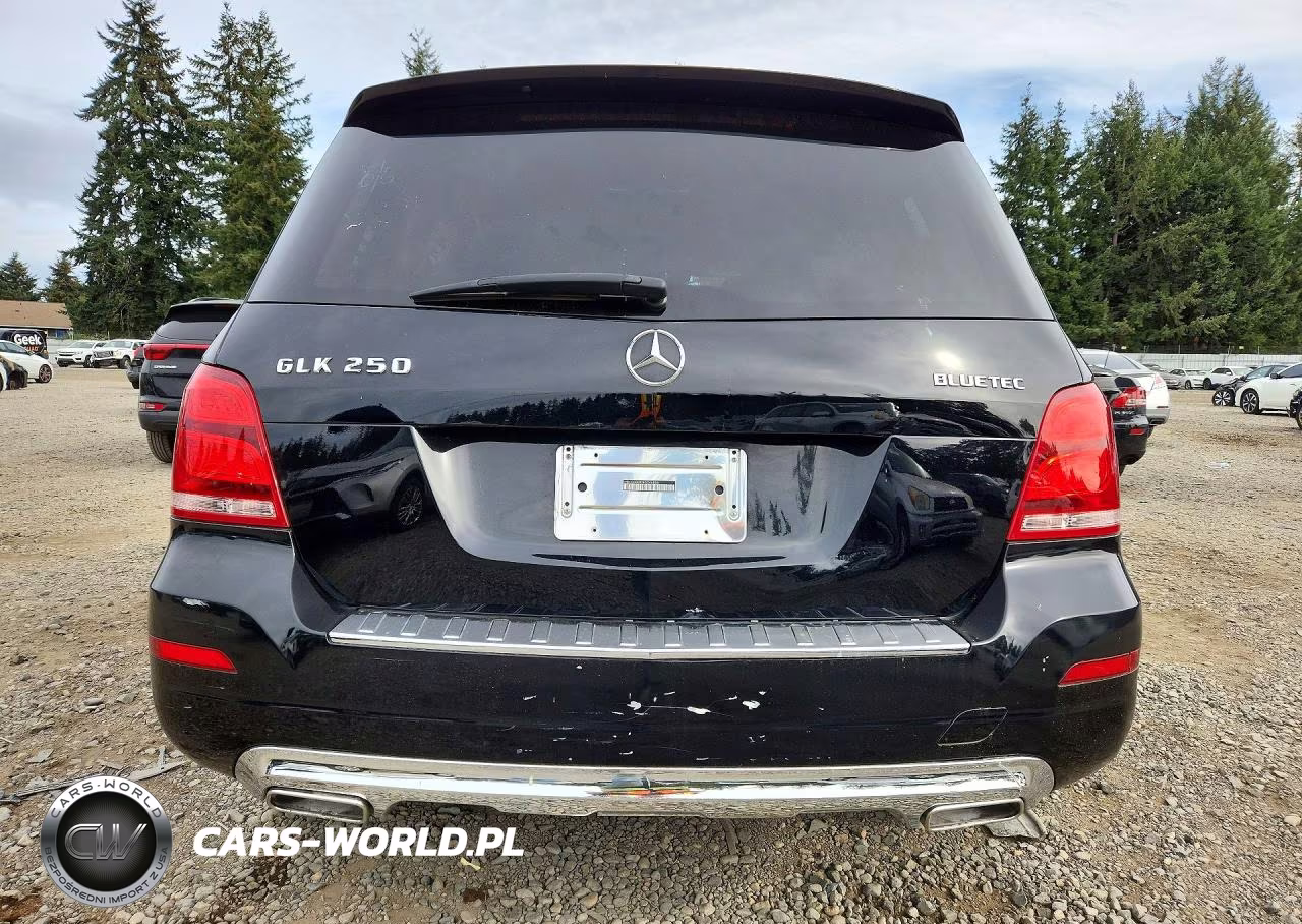 2014 Mercedes-Benz Glk 250 Bluetec VIN:WDCGG0EB2EG246805 - 6