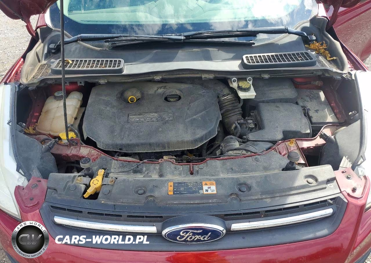 2013 Ford Escape Se VIN:1FMCU9G9XDUC30875 - 12