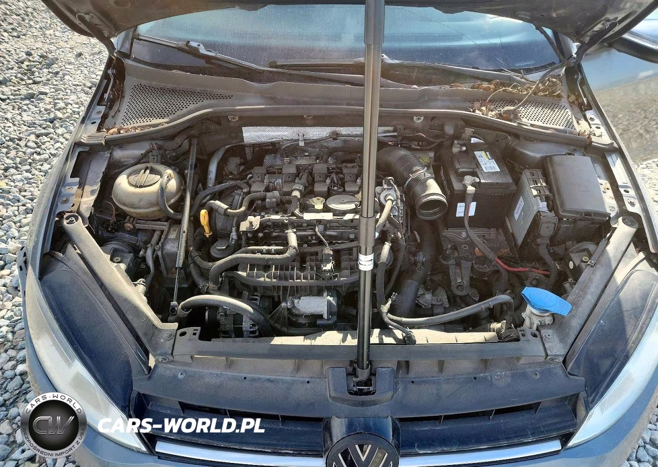 2015 Volkswagen Golf VIN:3VW917AU6FM041038 - 11