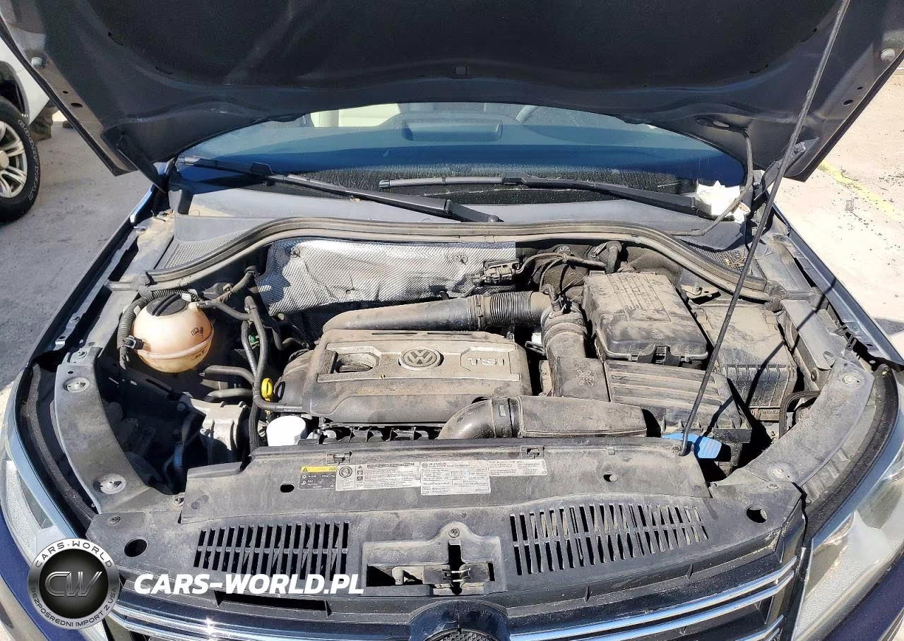 2016 Volkswagen Tiguan S VIN:WVGAV7AX8GW602318 - 12
