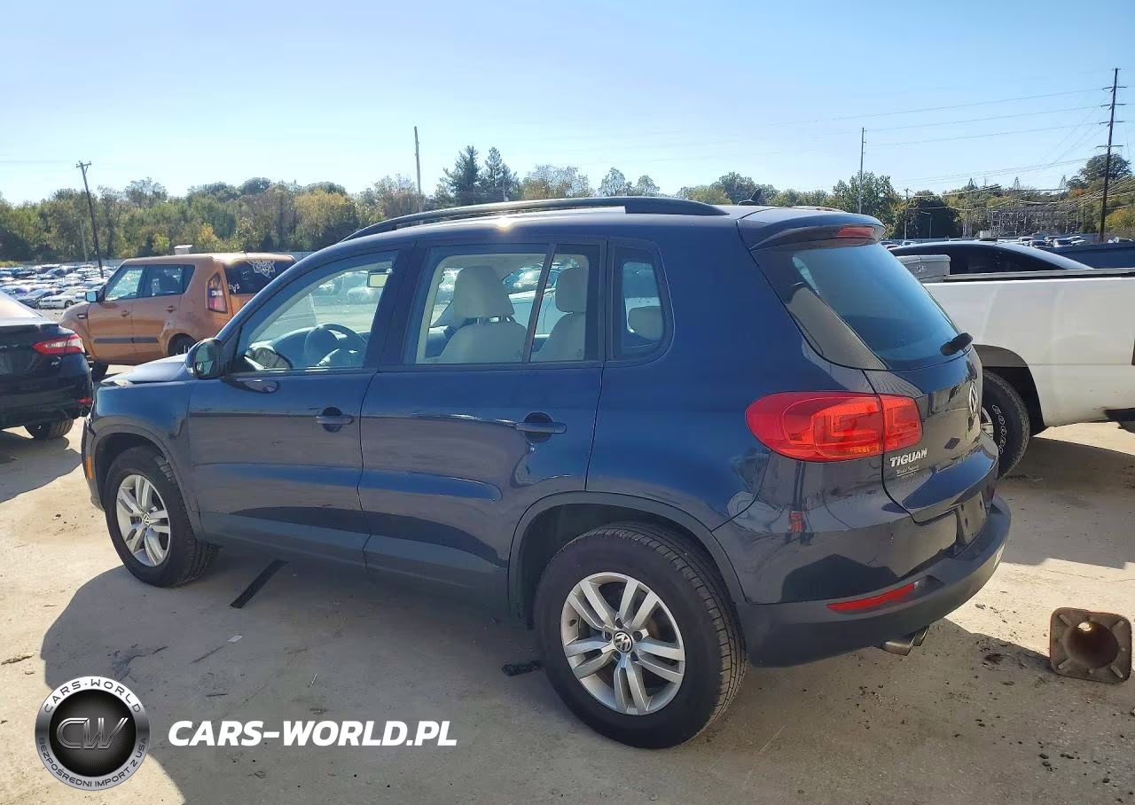 2016 Volkswagen Tiguan S VIN:WVGAV7AX8GW602318 - 2