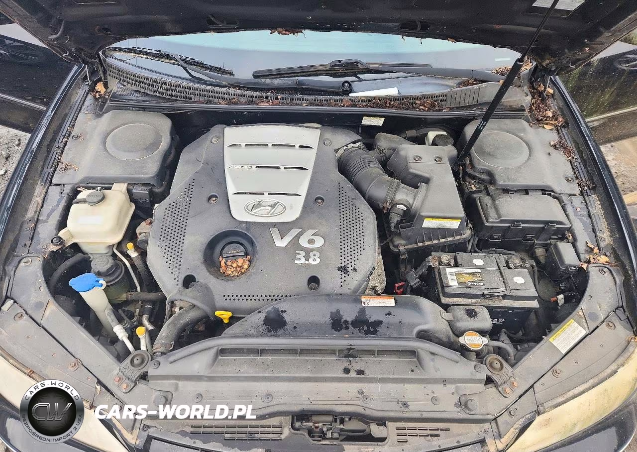 2007 Hyundai Azera Se VIN:KMHFC46F37A163018 - 11