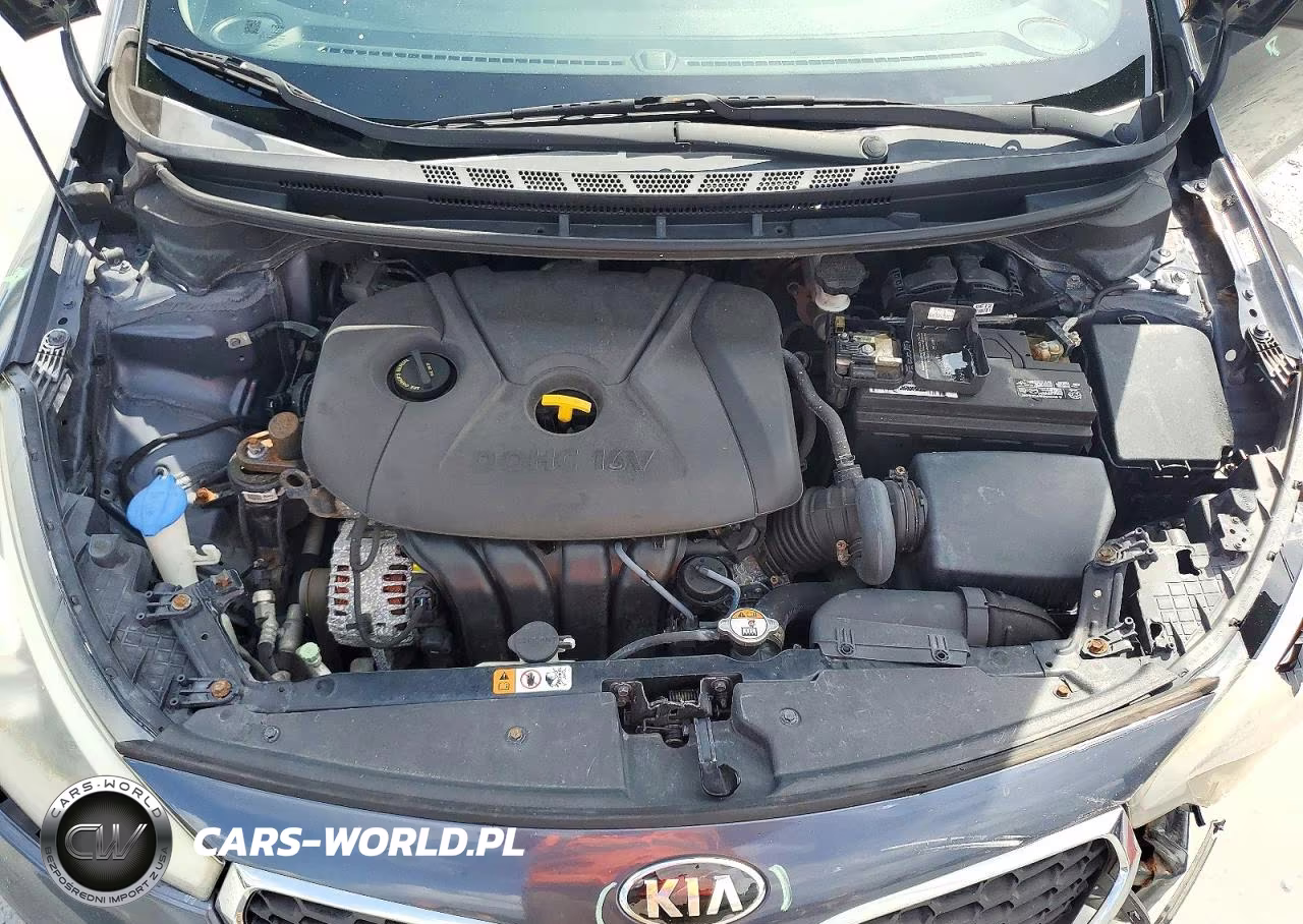 2016 Kia Forte Lx VIN:KNAFK4A67G5540213 - 11