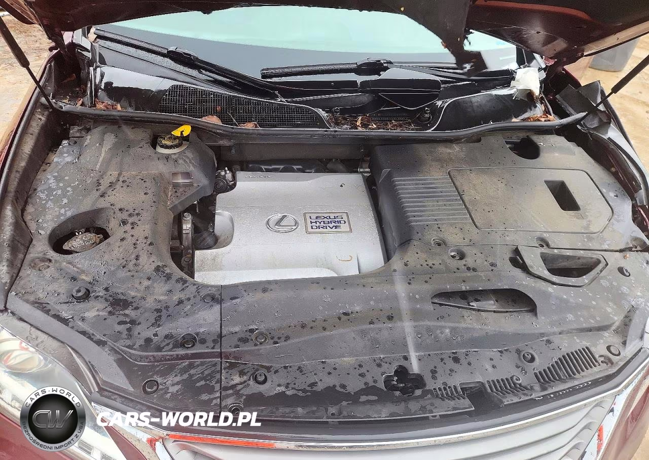 2013 Lexus Rx 450H VIN:JTJZB1BA2D2009108 - 12