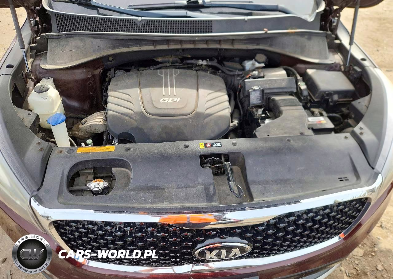 2017 Kia Sorento Ex VIN:5XYPHDA58HG200316 - 12