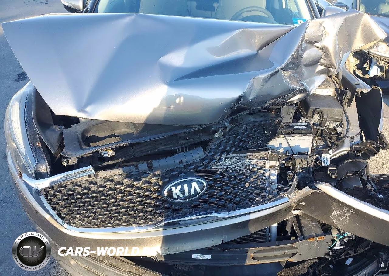 2017 Kia Sorento Lx VIN:5XYPG4A31HG296940 - 11