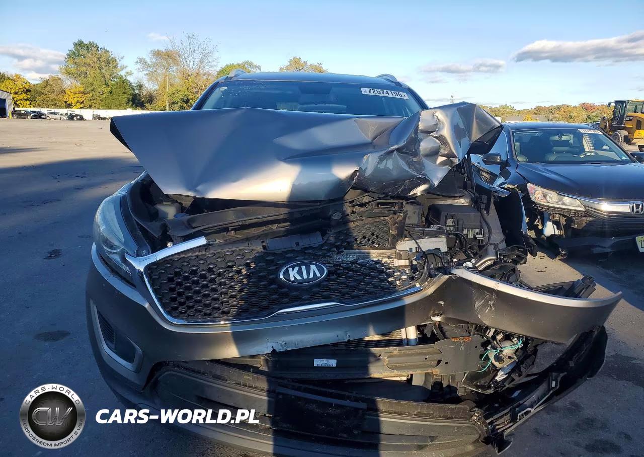 2017 Kia Sorento Lx VIN:5XYPG4A31HG296940 - 5
