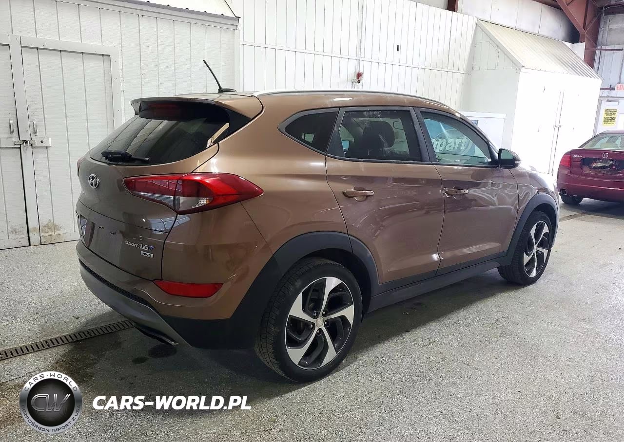 2016 Hyundai Tucson Sport VIN:KM8J3CA2XGU220189 - 3