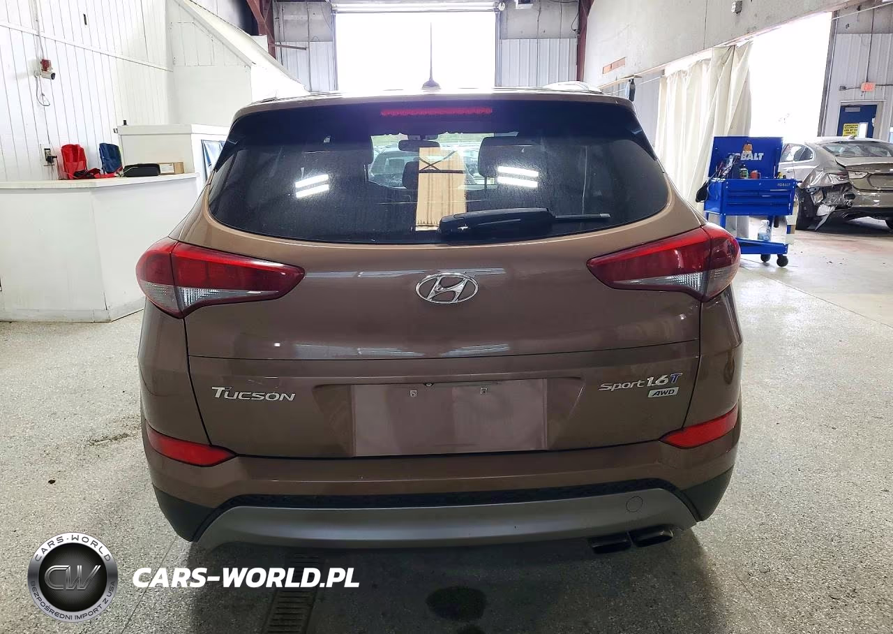 2016 Hyundai Tucson Sport VIN:KM8J3CA2XGU220189 - 6