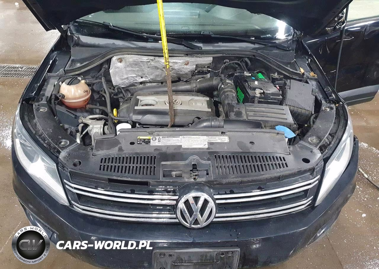 2016 Volkswagen Tiguan S VIN:WVGAV7AXXGW586638 - 12