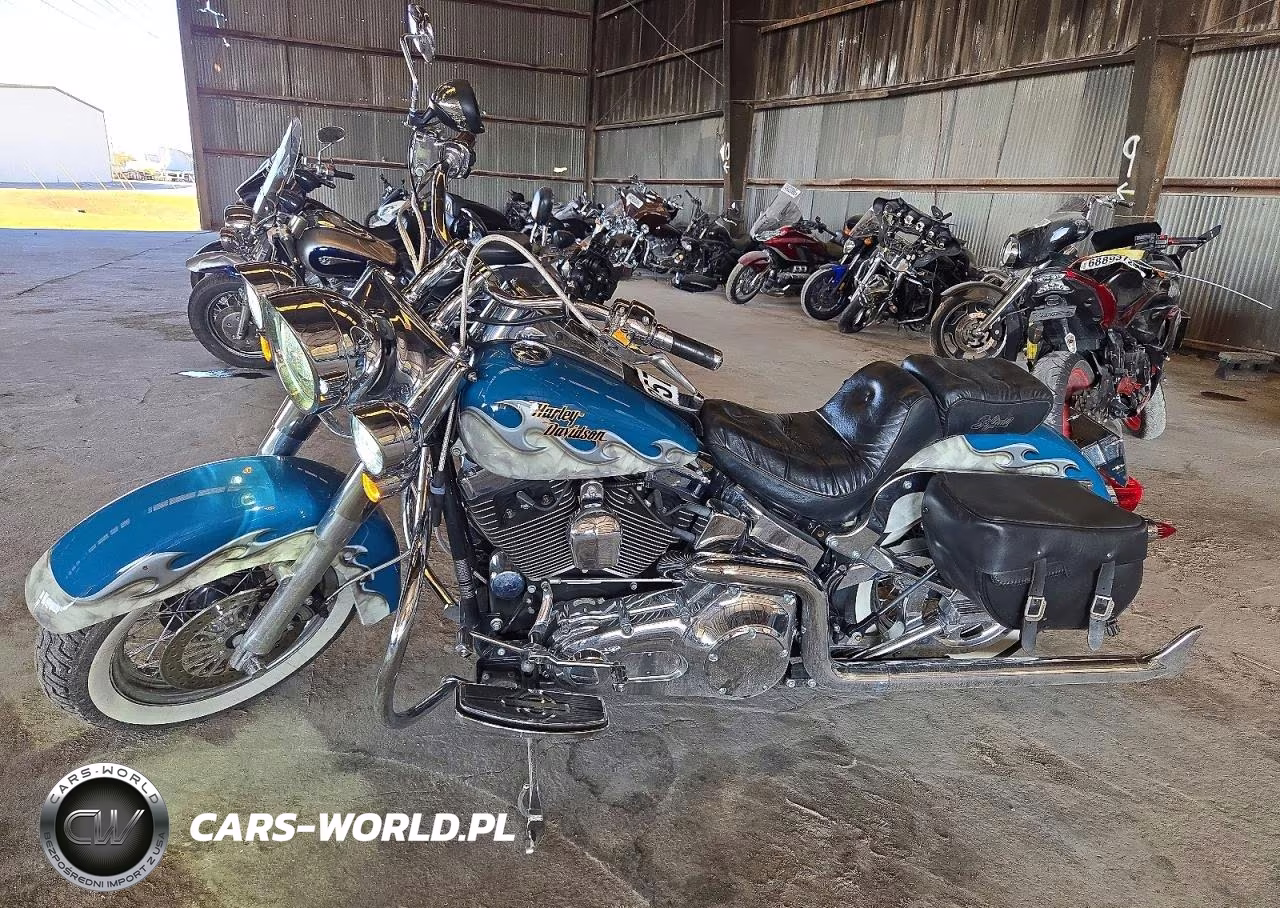 2005 Harley-Davidson Flstni VIN:1HD1JDB195Y020852 - 3