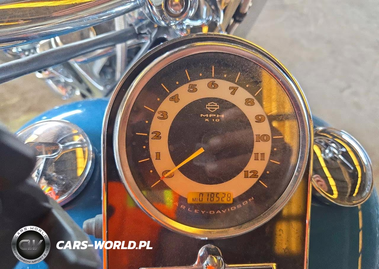 2005 Harley-Davidson Flstni VIN:1HD1JDB195Y020852 - 7