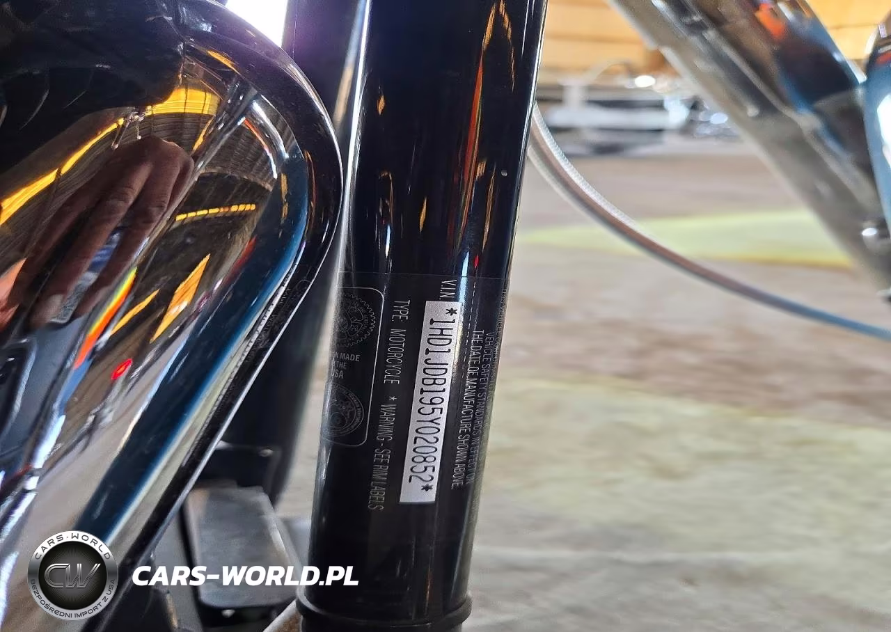 2005 Harley-Davidson Flstni VIN:1HD1JDB195Y020852 - 9